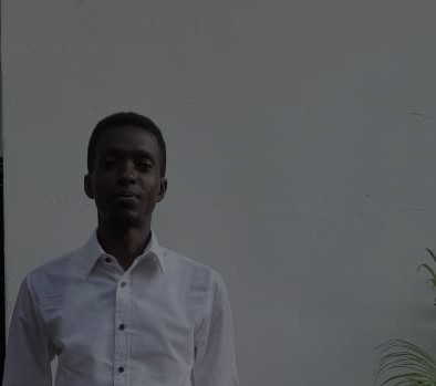 David Mark